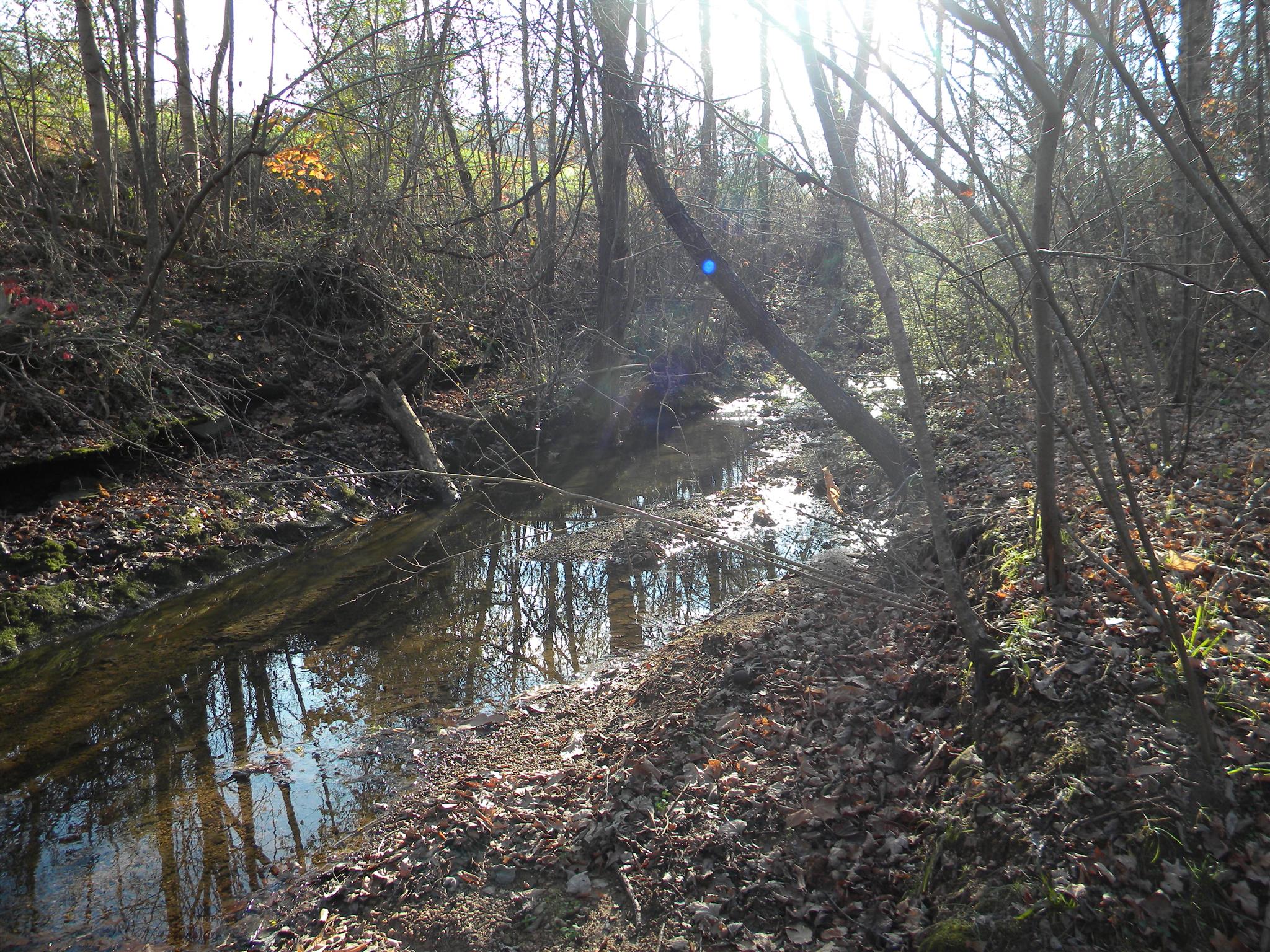 102 Salem Road Hohenwald, TN 38462 - Photo 24 of 27 Creek flows in the front of property
