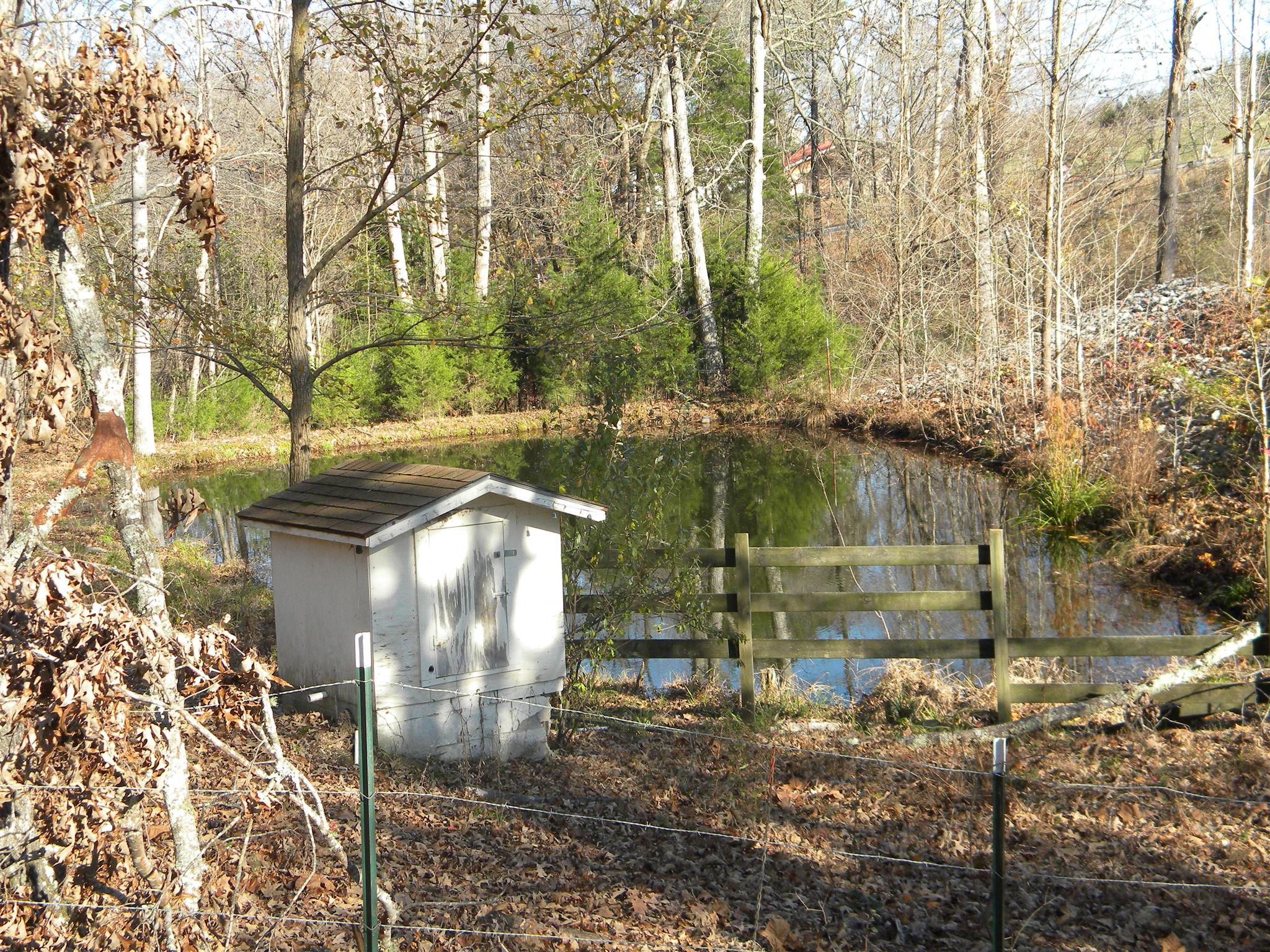 102 Salem Road Hohenwald, TN 38462 - Photo 5 of 27 Pond w/spring house