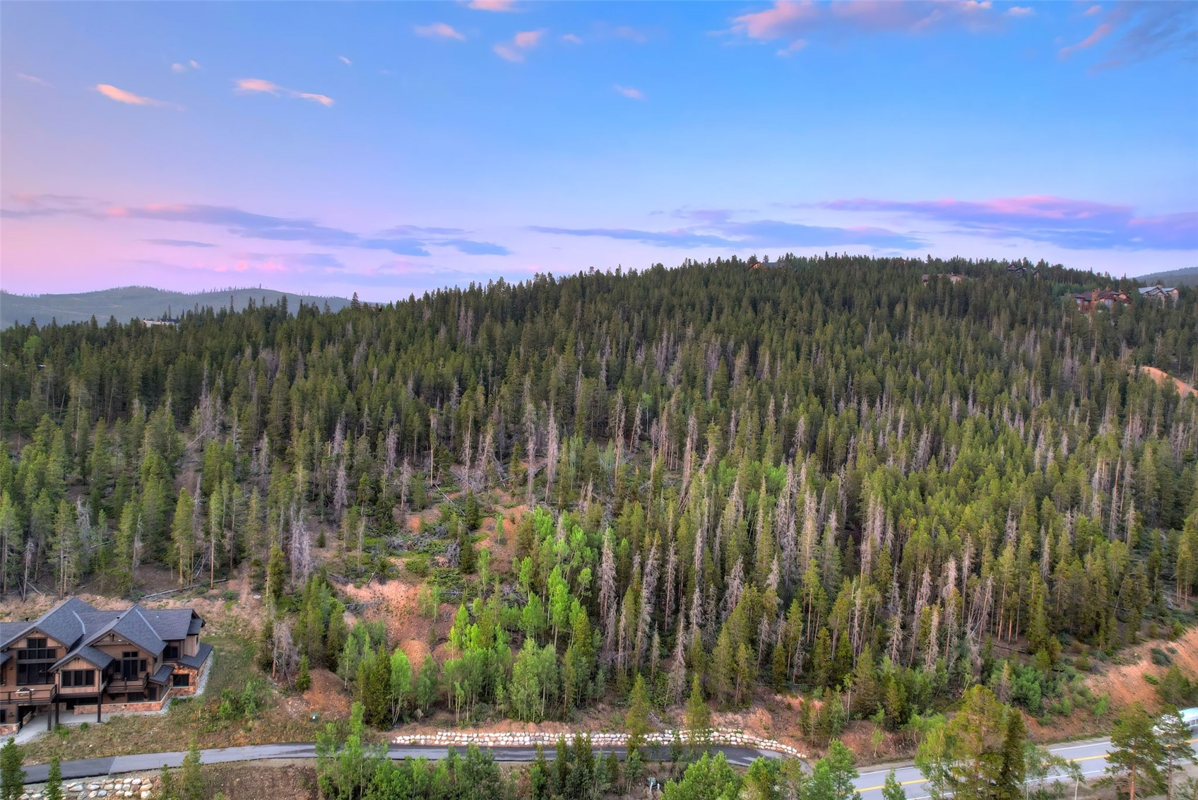2211 Boreas Pass Road Breckenridge, CO 80424 - Photo 12 of 20 a view of a city with lush green forest