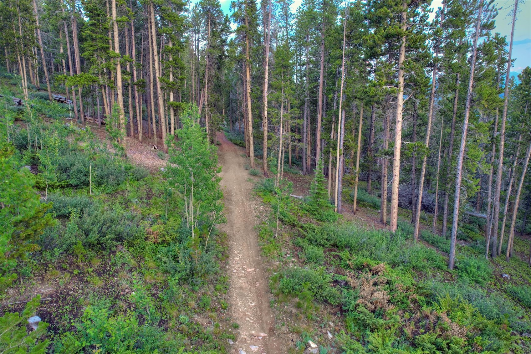 2211 Boreas Pass Road Breckenridge, CO 80424 - Photo 16 of 20 a view of outdoor space and garden