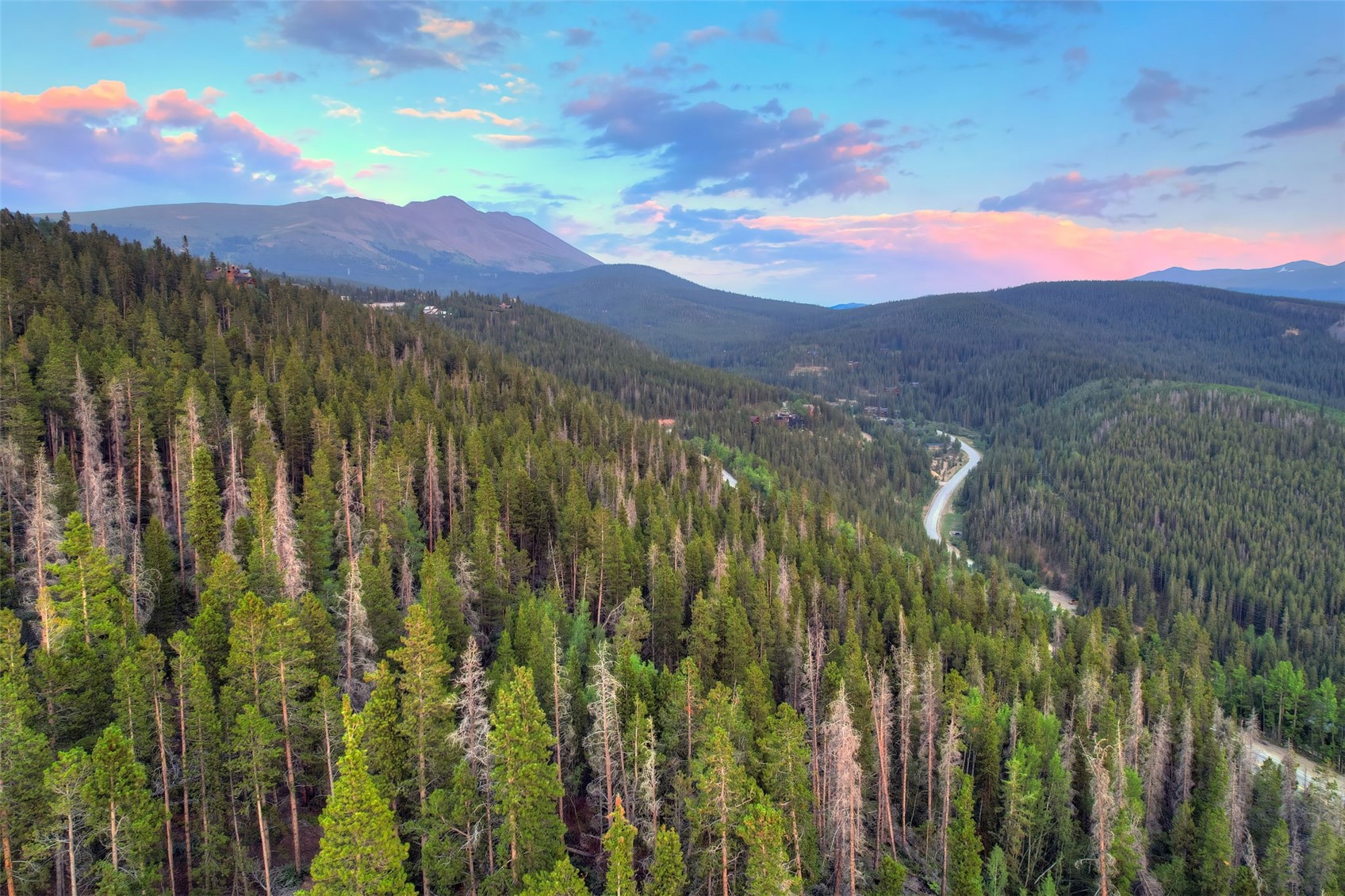 2211 Boreas Pass Road Breckenridge, CO 80424 - Photo 10 of 20 a view of a city with lush green forest