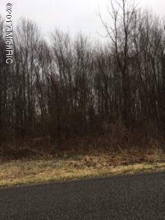 0 South Pardee Road Buchanan, MI 49107 - Photo 1 of 1 0 Pardee
