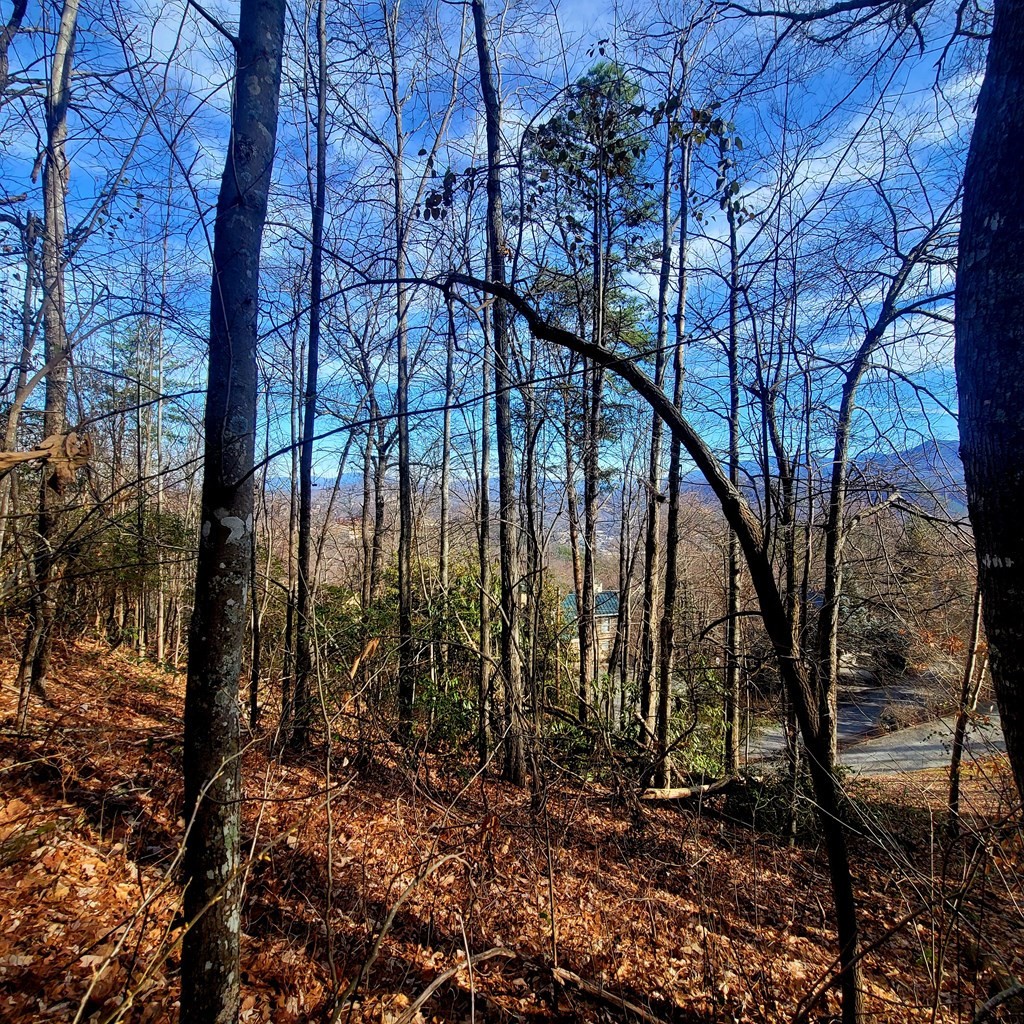 17 Zurich Road Gatlinburg, TN 37738 - Photo 5 of 24