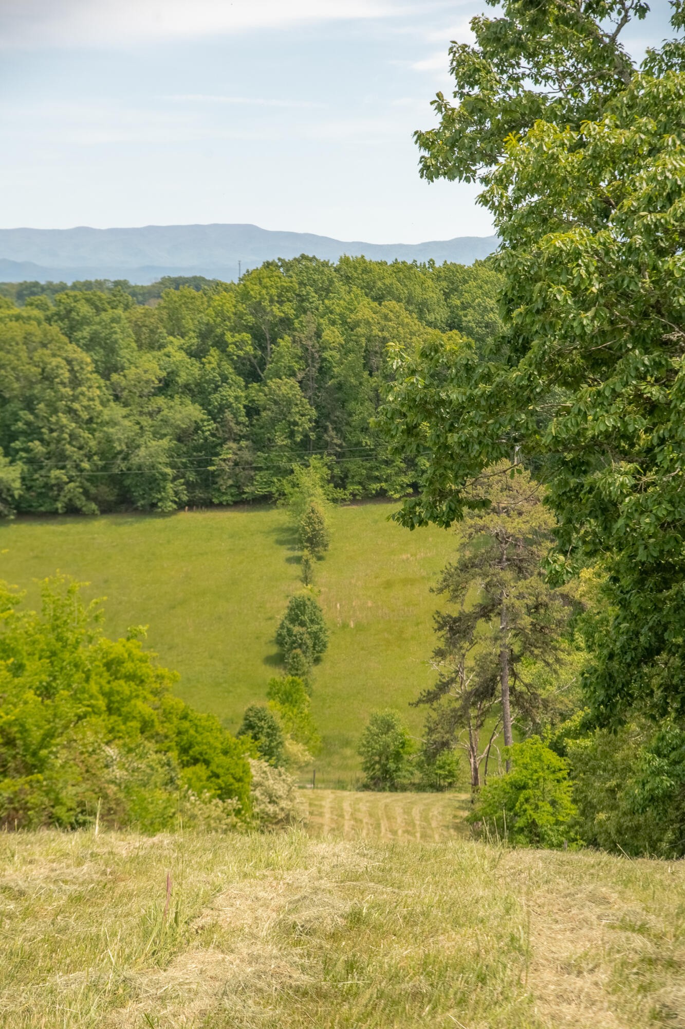 5102 Southwest Wesleyan Road Cleveland, TN 37311 - Photo 68 of 73 Gallery Image 68