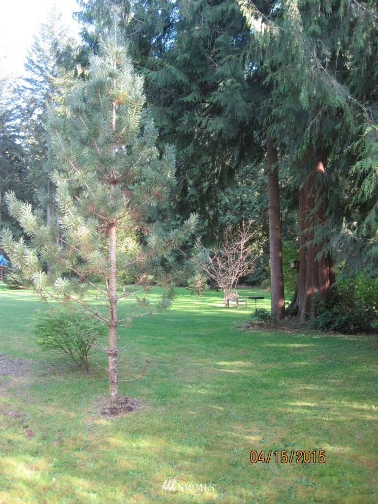 38396 State Rte 20 Concrete, WA 98237 - Photo 25 of 25 Gallery Image 25