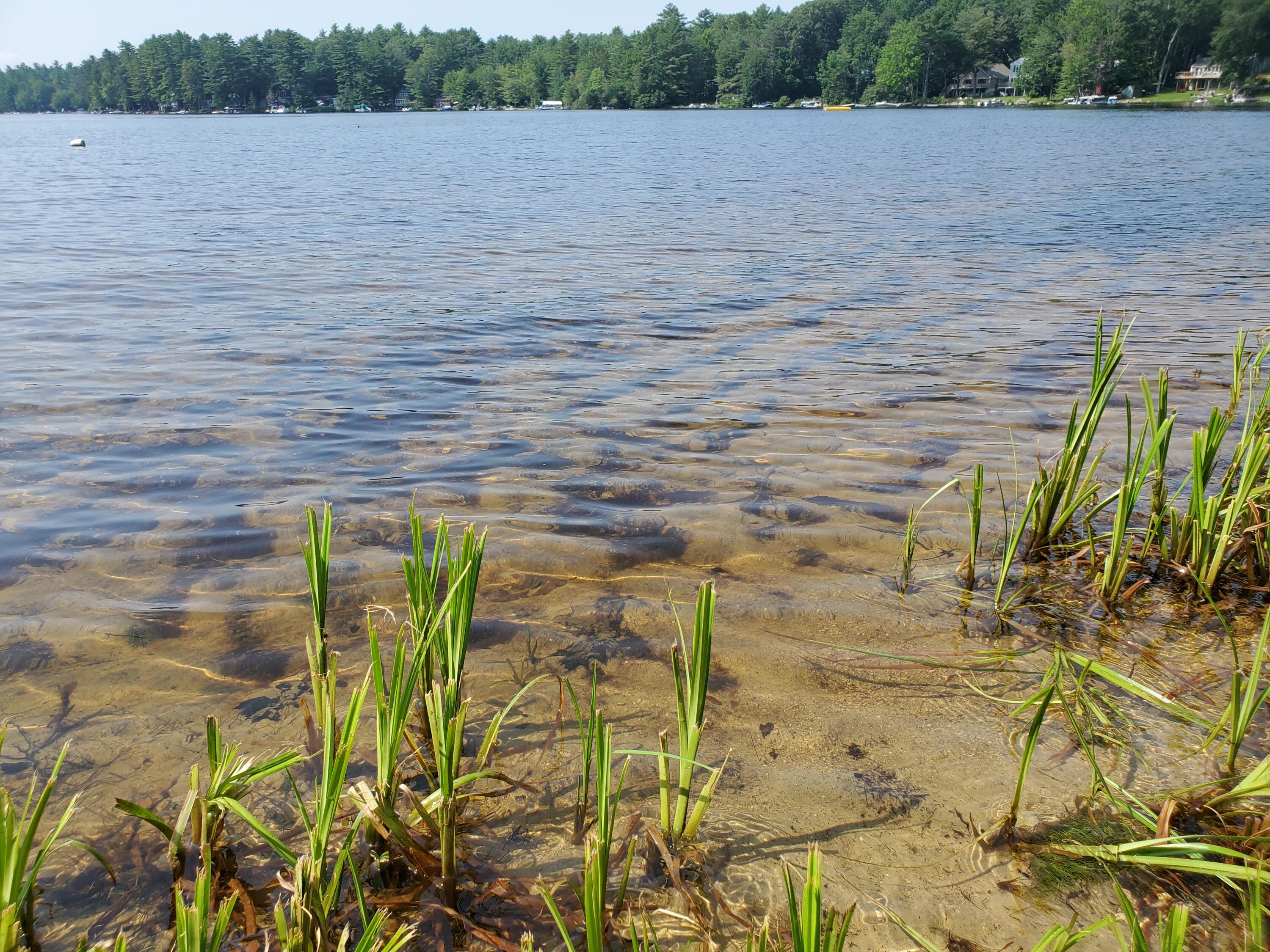 9 Westwood Road Gray, ME 04039 - Photo 23 of 57 Waterfront