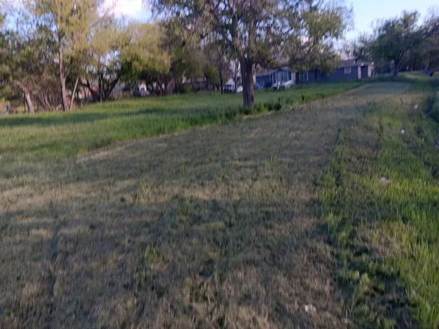 a view of a park with large trees
