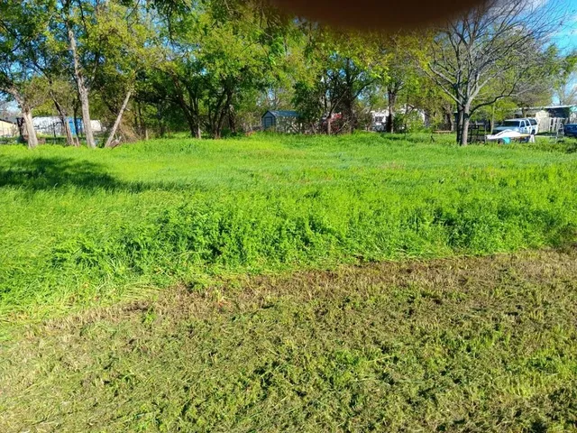 a view of yard with green space