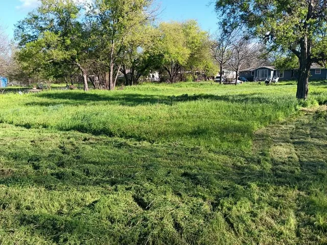 a view of a grassy field with trees