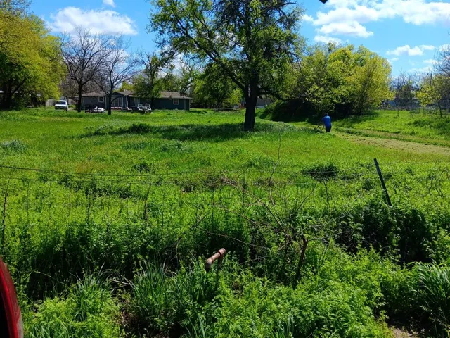 a view of a park with large trees