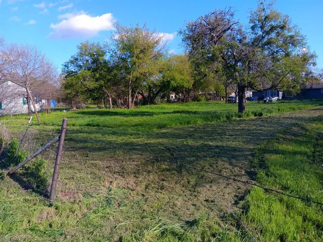 a view of a park with large trees