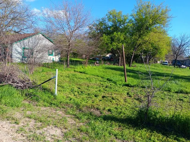 a view of a park with large trees