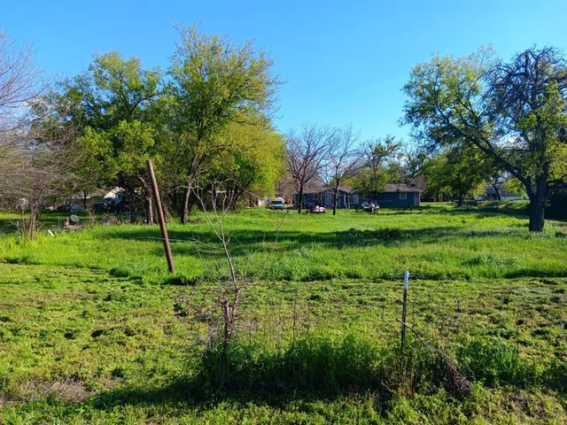 a view of a park with large trees