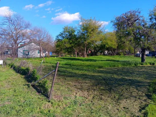 a view of a park with plants and trees