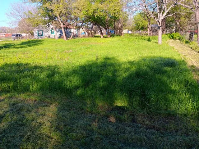 a view of a field with trees