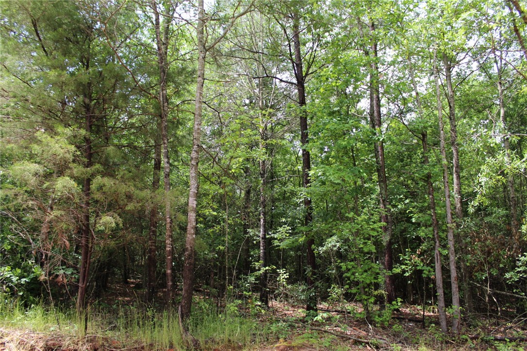 122 Tiger Pond Road, Unit LOT 10 Easley, SC 29642 - Photo 19 of 24 Gallery Image 19
