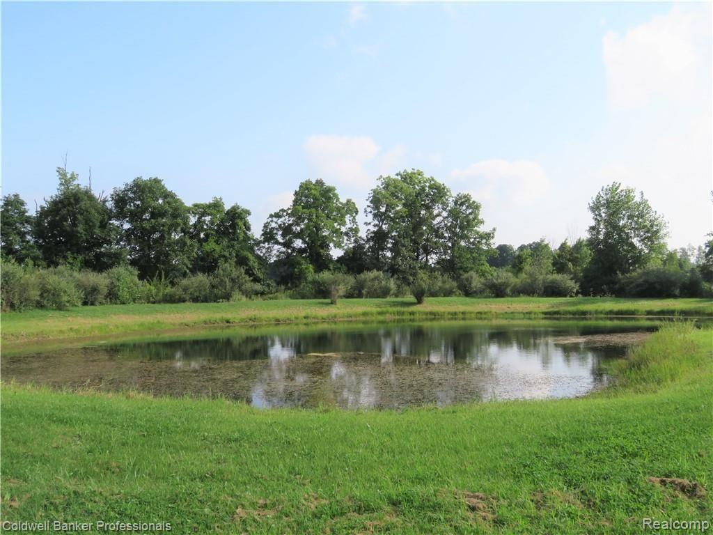 1485 Lansing Road Morrice, MI 48857 - Photo 24 of 30 22 1485 pond.JPG