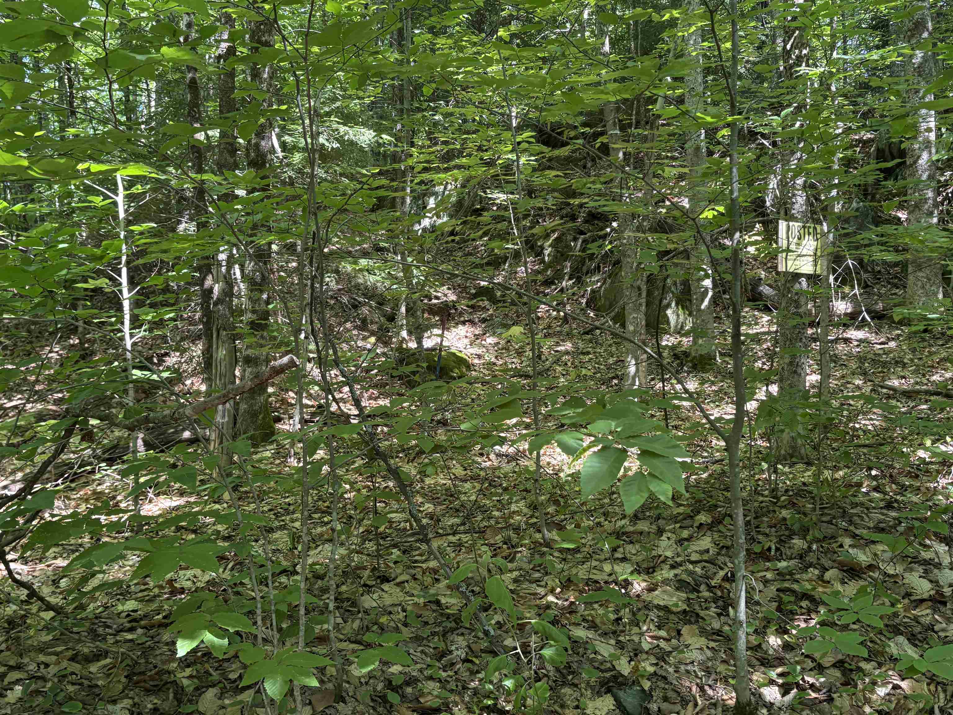 0 Hog Hollow Road Montpelier, VT 05602 - Photo 12 of 14