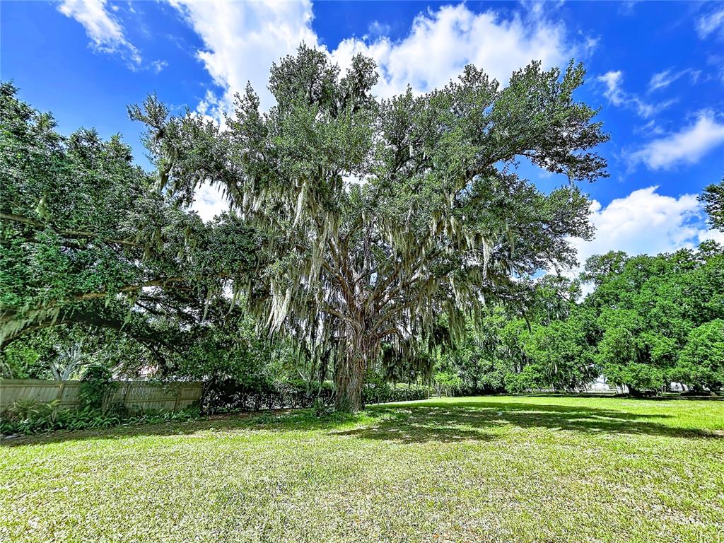 11008 Browning Road Lithia, FL 33547 - Photo 9 of 88