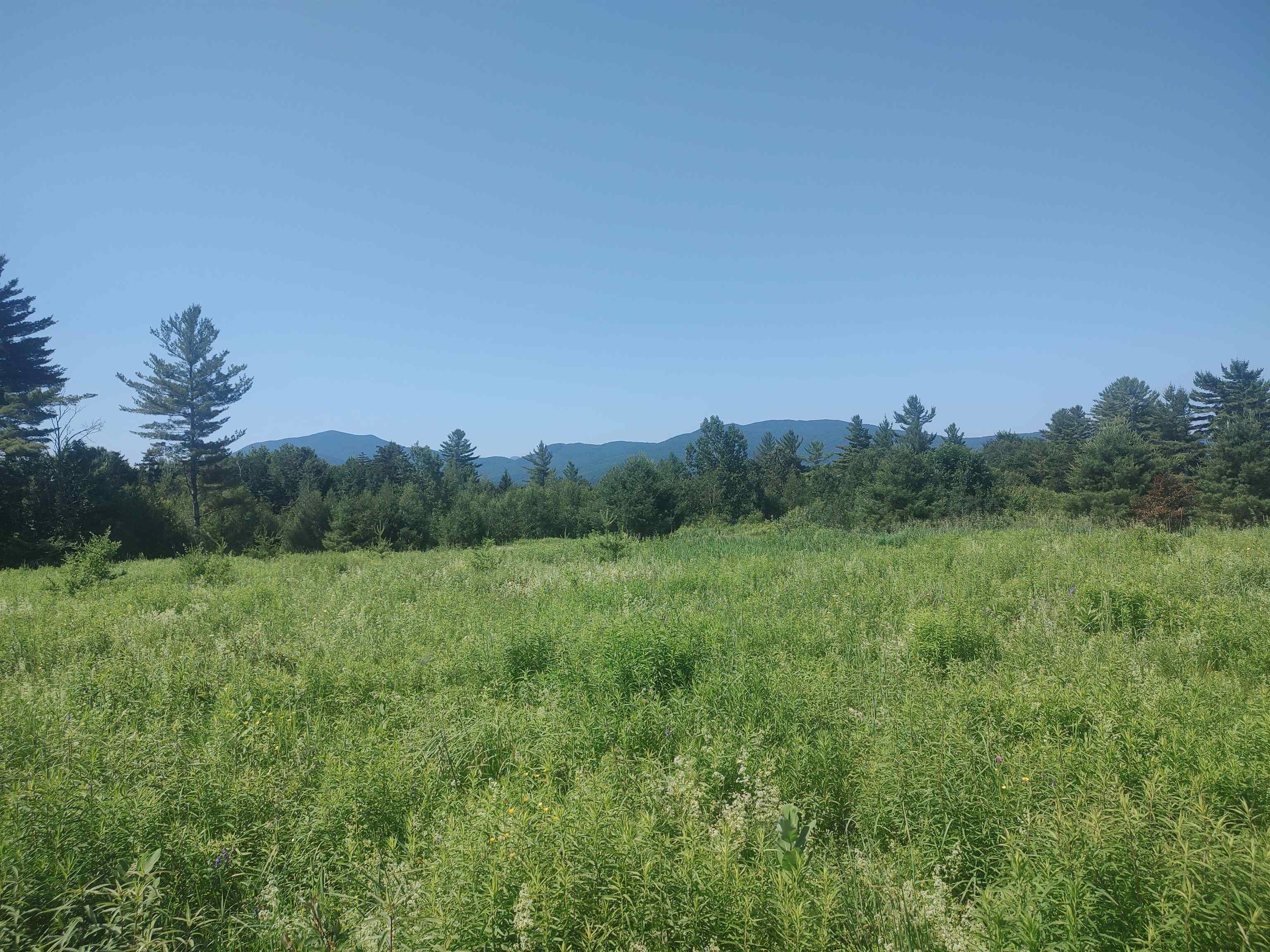 0 Plot Road, Unit 3 Johnson, VT 05656 - Photo 2 of 6