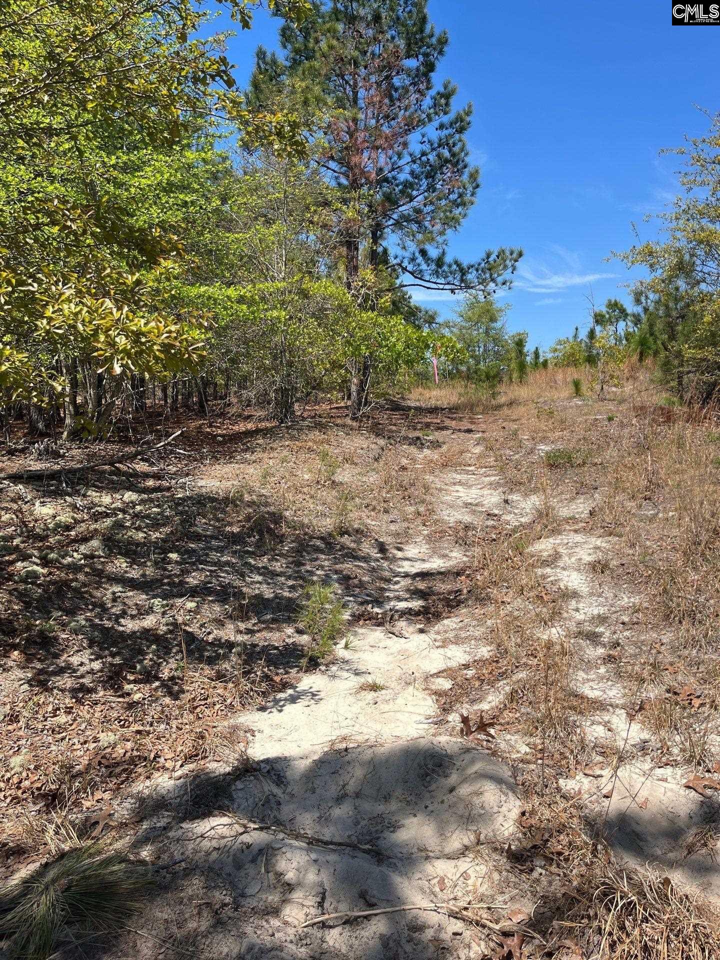 1 Beaver Dam Road Cassatt, SC 29032 - Photo 2 of 7