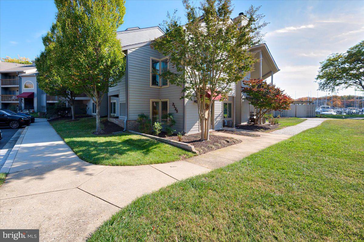 2125 Quay Village Court, Unit T1 Annapolis, MD 21403 - Photo 5 of 36 a view of a backyard with a tree