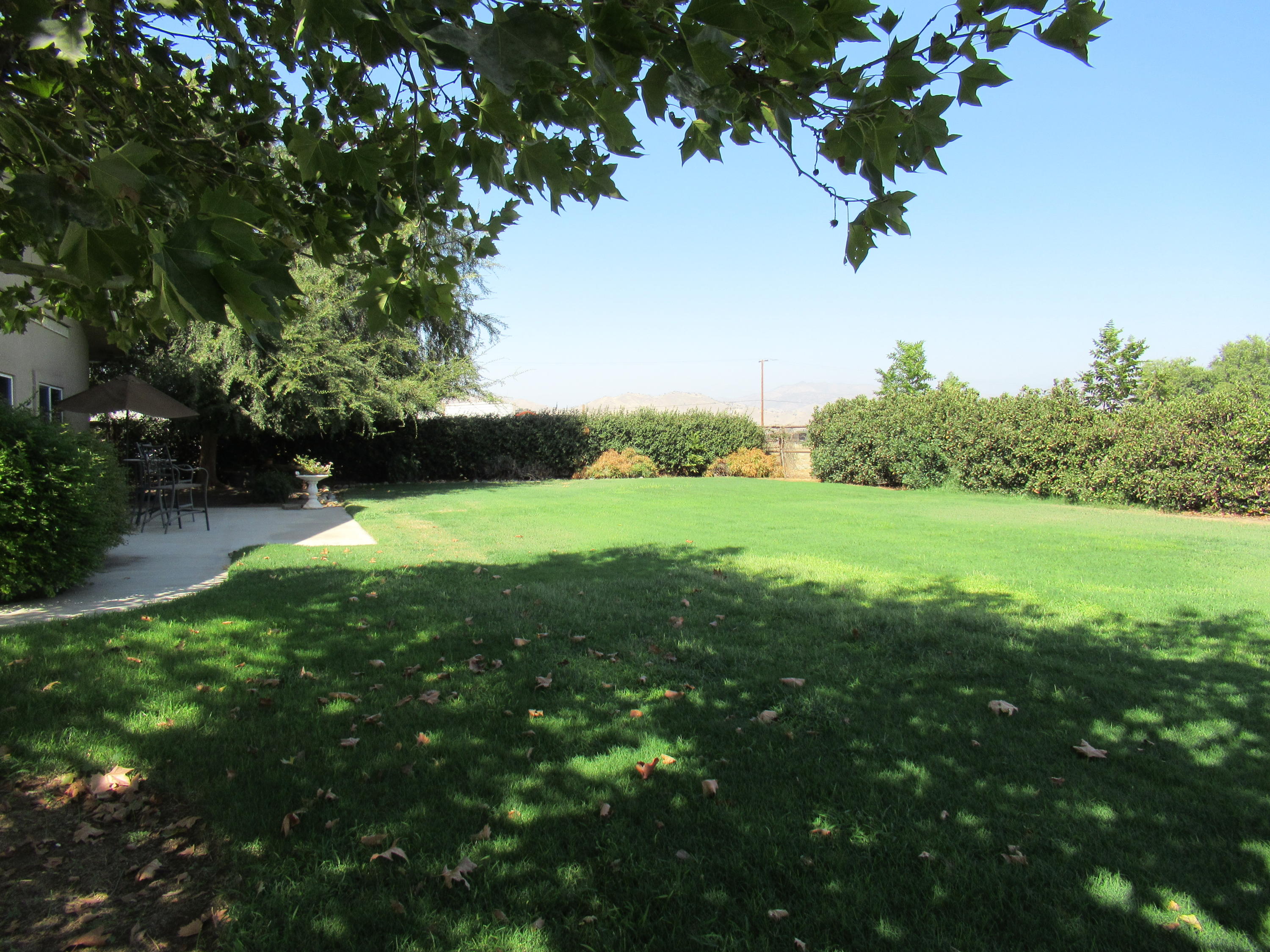 22223 Carson Avenue Exeter, CA 93221 - Photo 51 of 61 IMG_0127
