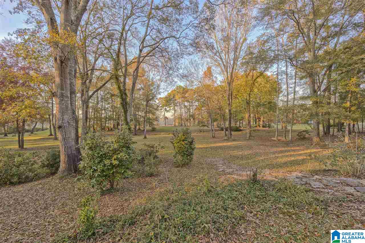 145 River Run Road Childersburg, AL 35044 - Photo 38 of 49