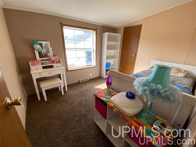 1114 Town Line Road Gulliver, MI 49840 - Photo 17 of 30 Gallery Image 17
