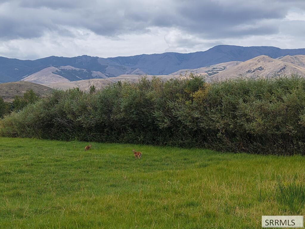 1015 Lemhi Road Salmon, ID 83467 - Photo 38 of 54 Gallery Image 38