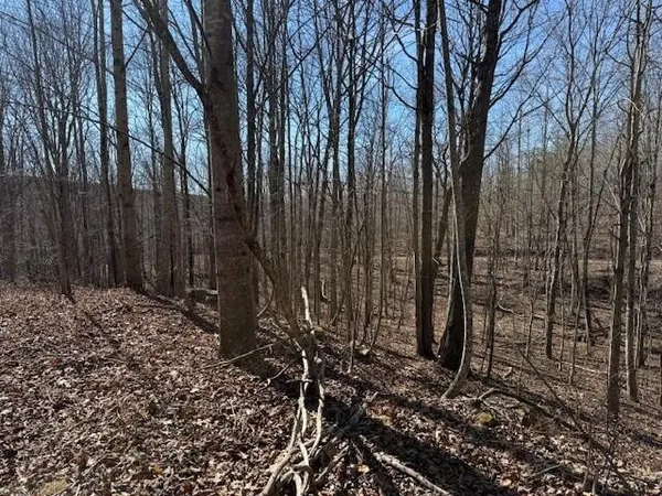 a view of a backyard of the house