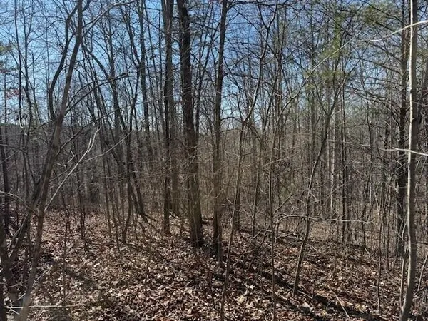 a view of a backyard of the house