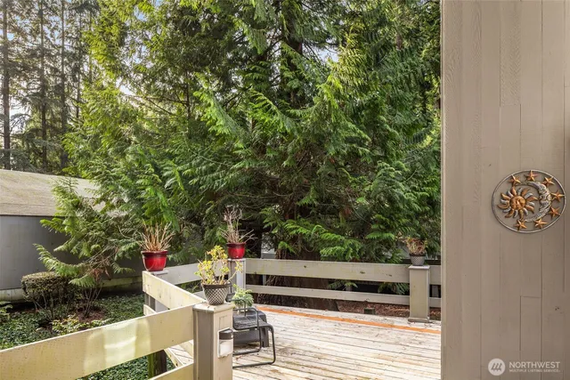 a outdoor space with lots of trees