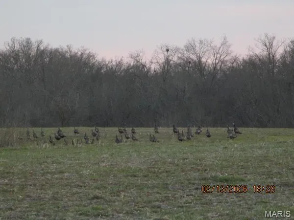$125,000 | Lot#8 Pcr 910, Perryville, MO 63775