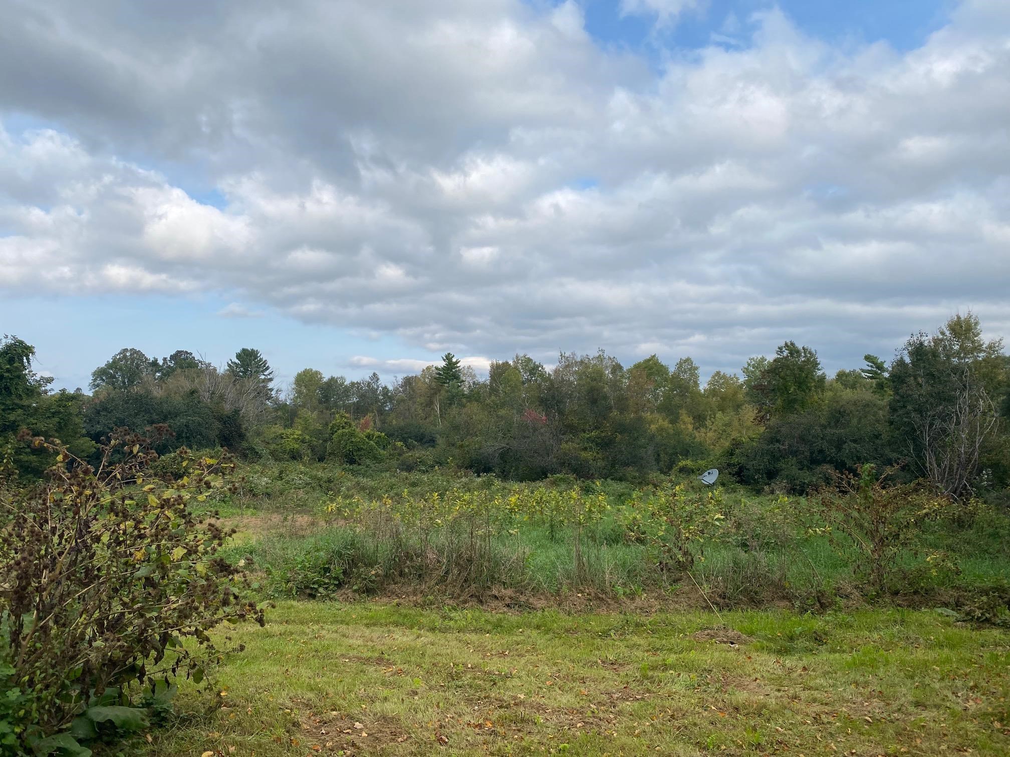1427 Walloomsac Road Bennington, VT 05201 - Photo 4 of 8