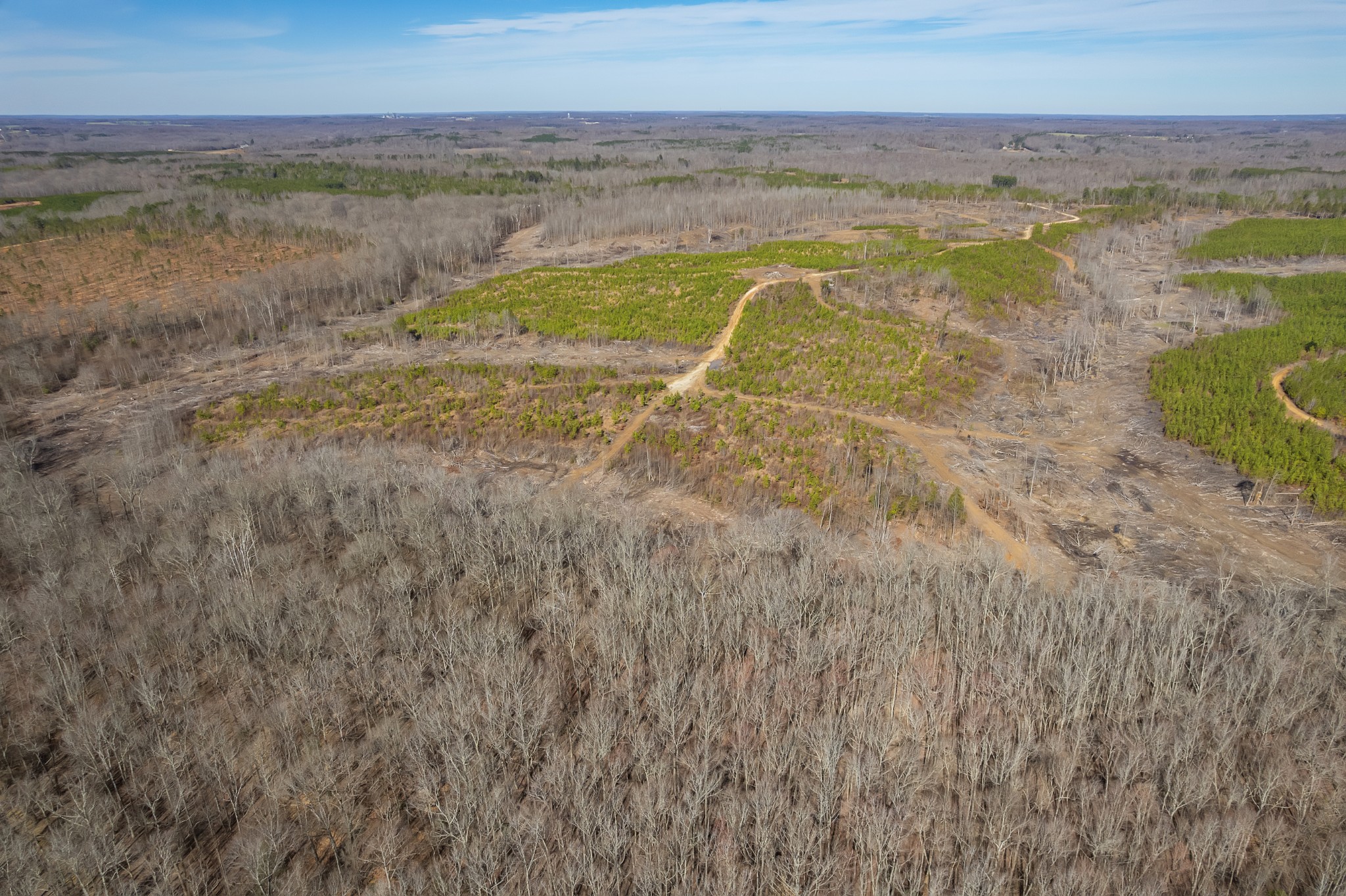 0 Haglersville Road Mansfield, TN 38236 - Photo 15 of 19