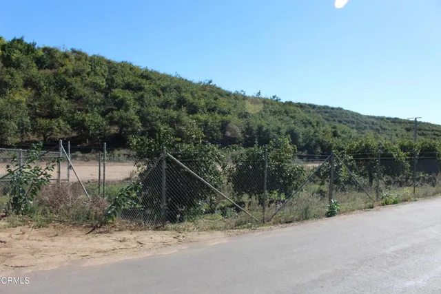 a view of a yard with plants and trees