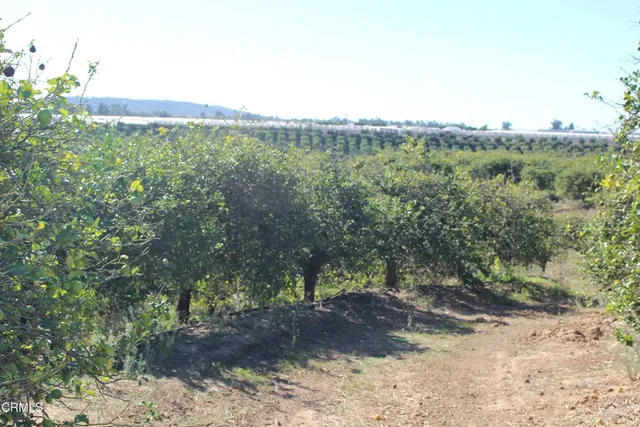 a view of a chairs and table in a patio