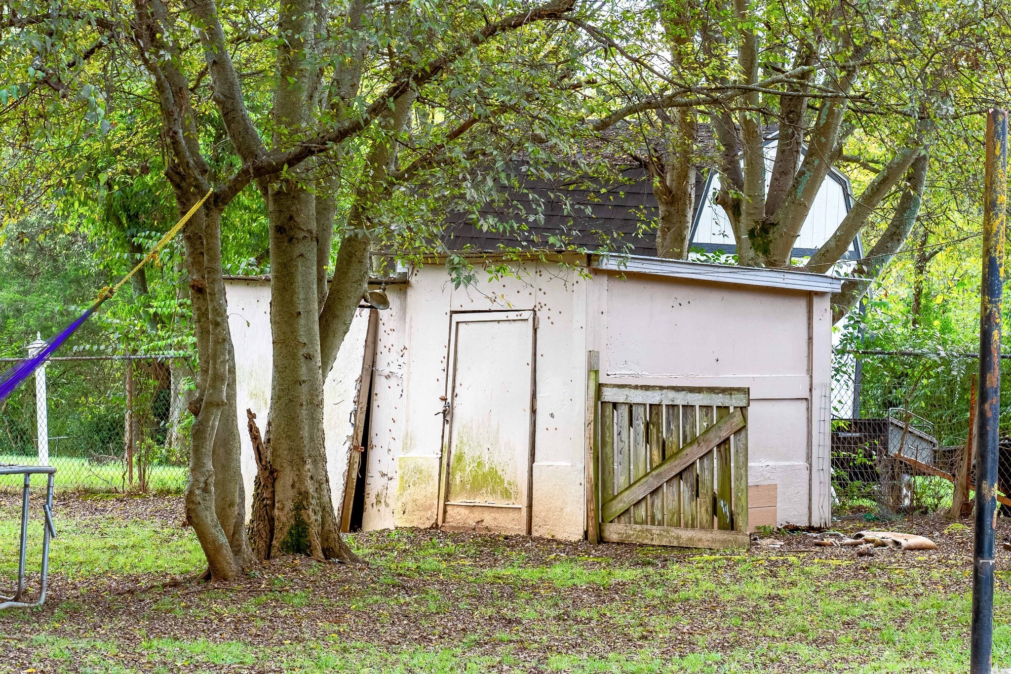 709 Florence Circle Madison, TN 37115 - Photo 37 of 39 a view of backyard with small cabin