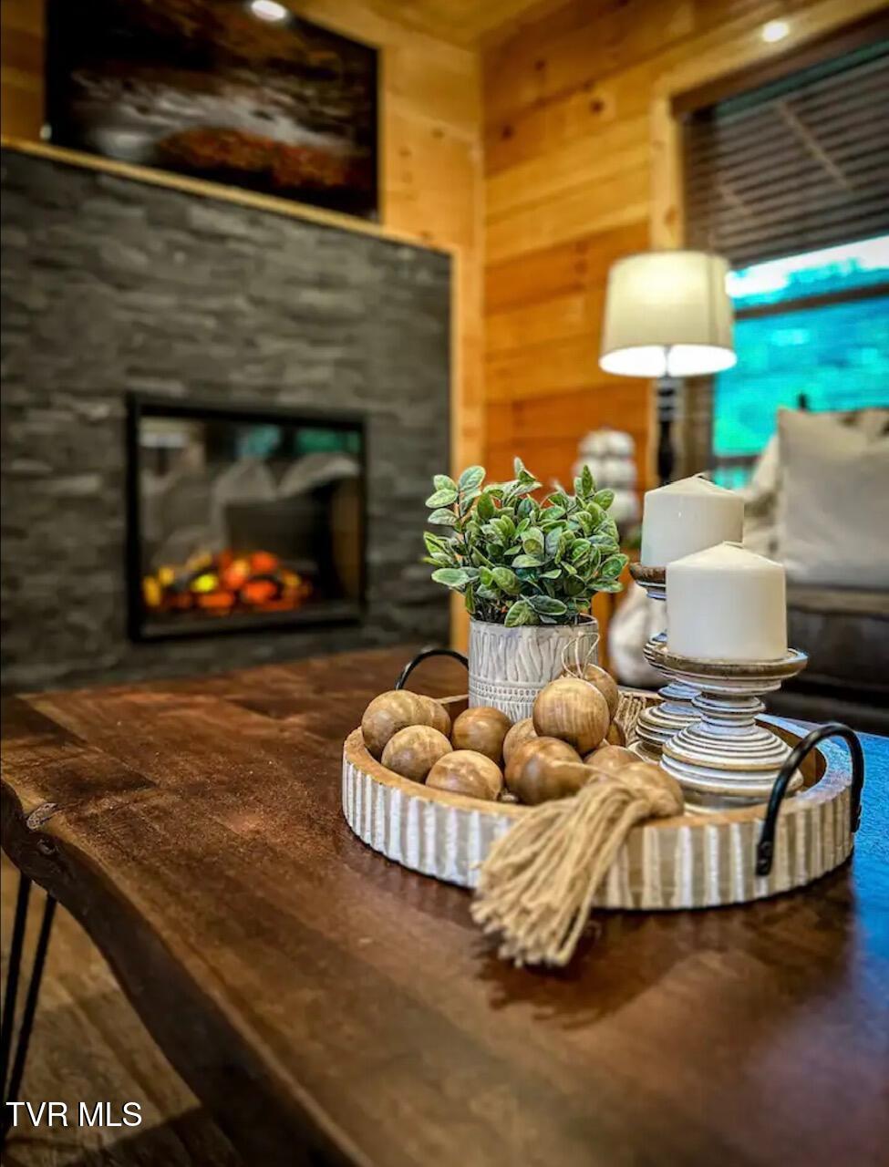 848 String Run Way, Unit LOT 25 Pigeon Forge, TN 37862 - Photo 18 of 94 IMG_7934