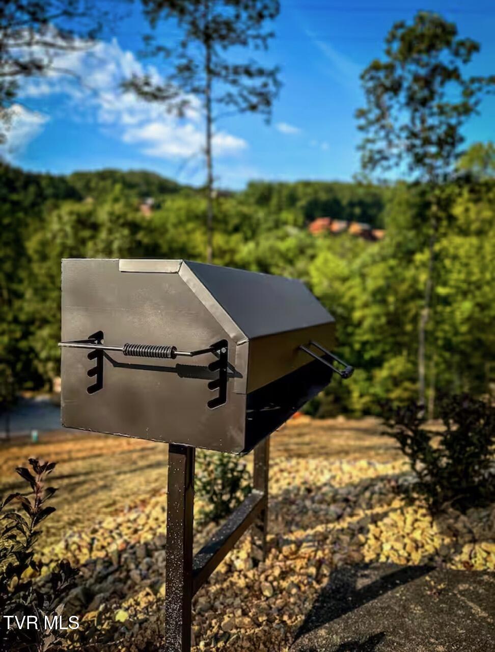 848 String Run Way, Unit LOT 25 Pigeon Forge, TN 37862 - Photo 67 of 94 IMG_7992