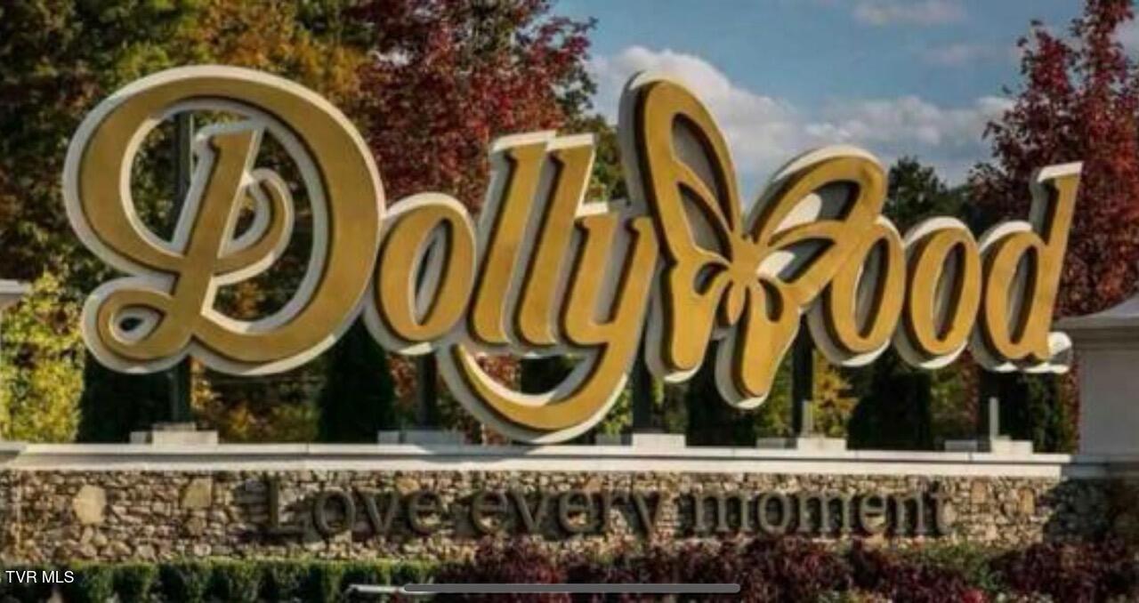 848 String Run Way, Unit LOT 25 Pigeon Forge, TN 37862 - Photo 94 of 94 IMG_7220 (2)