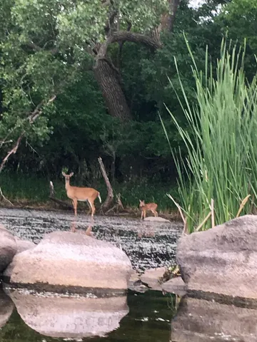 $239,000 | 108 Lakota Island, Big Stone City, SD 57216