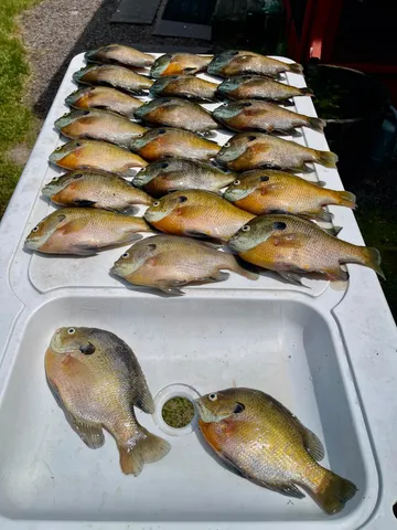 $239,000 | 108 Lakota Island, Big Stone City, SD 57216