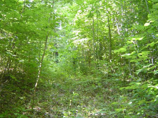 12962 Middlefork Road Amanda, OH 43102 - Photo 6 of 12