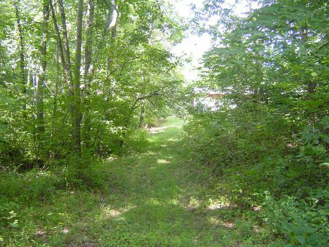 12962 Middlefork Road Amanda, OH 43102 - Photo 7 of 12