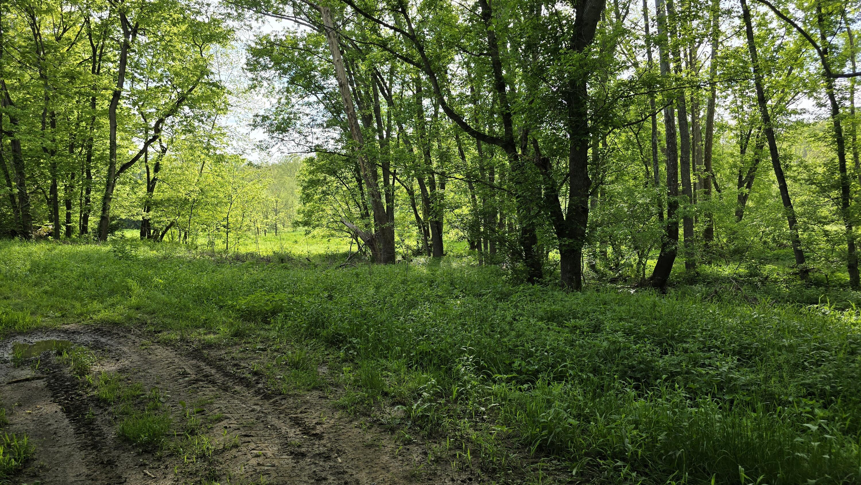 2 Folsom Jonesville Road Dry Ridge, KY 41035 - Photo 9 of 13
