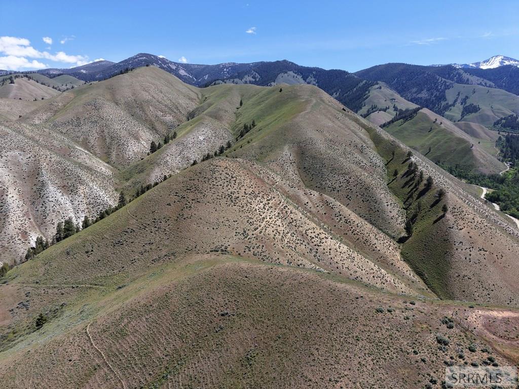 Nkn East Tower Creek Road Carmen, ID 83462 - Photo 58 of 63