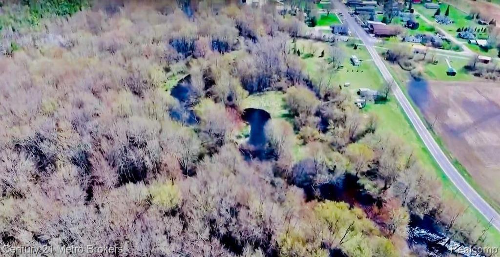 0 Jackson Road Elwell, MI 48877 - Photo 7 of 23