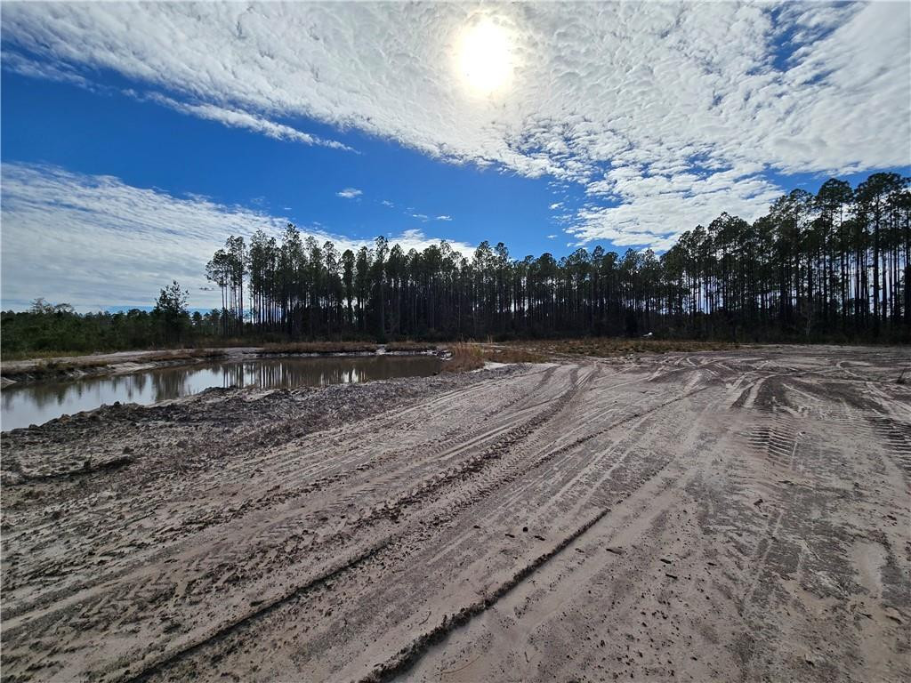 4825 Duck Road Waycross, GA 31503 - Photo 10 of 16 Gallery Image 10